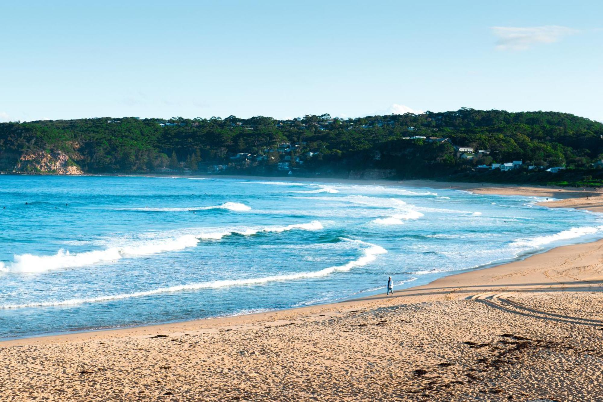 Shores